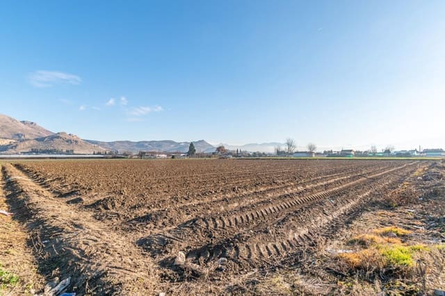 Grunde uden byggetilladelser til salg i Fuente Vaqueros - € 74.000 (Ref: 9419694)