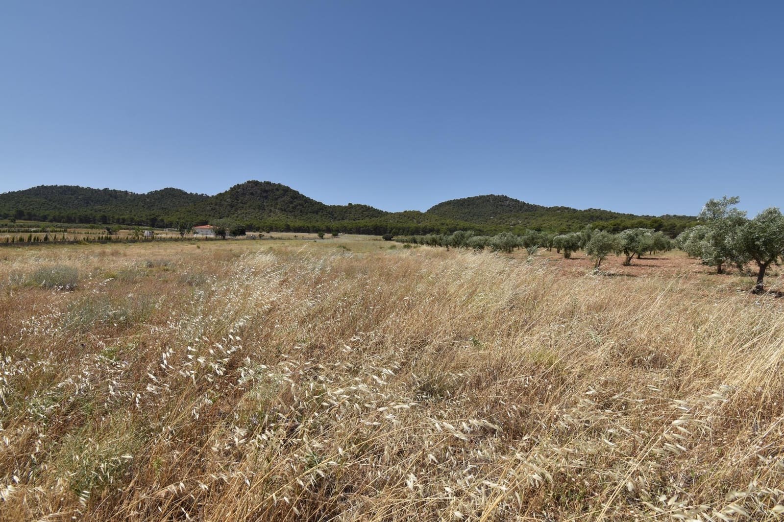 Grond te koop in Padul - € 88.000 (Ref: 9419699)