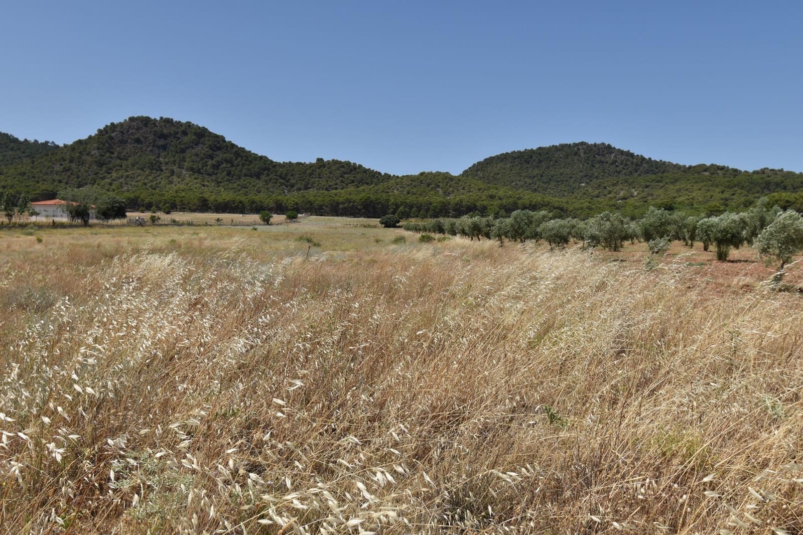 Grond te koop in Padul - € 88.000 (Ref: 9419699)