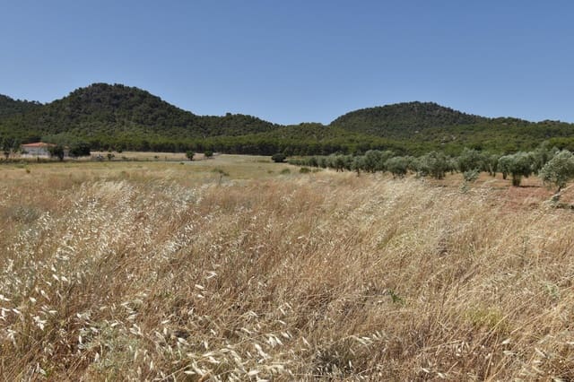 Grond te koop in Padul - € 88.000 (Ref: 9419699)