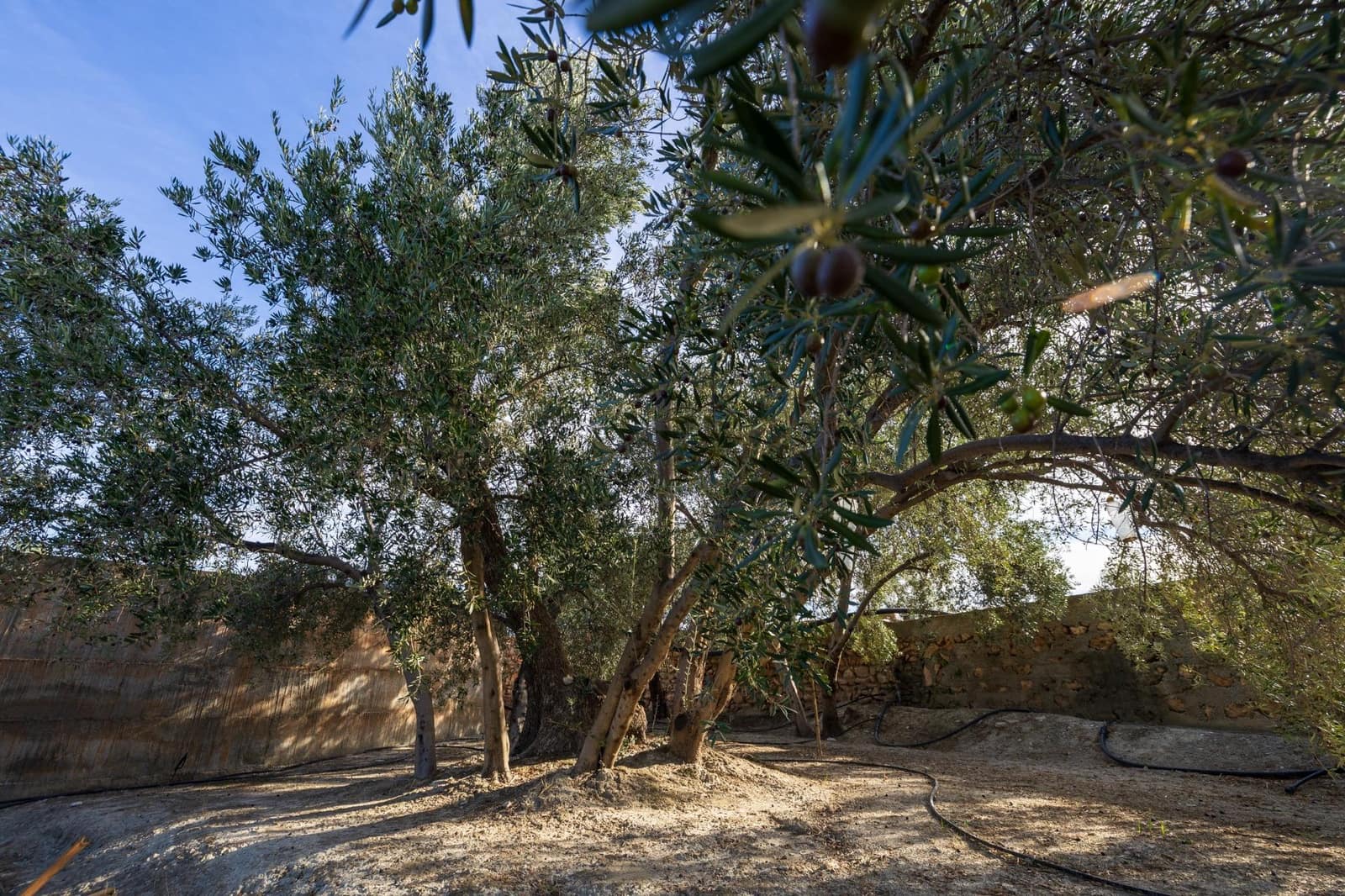 Rakentamaton maa myytävänä paikassa Lecrin - 140 000 € (Ref: 9419700)