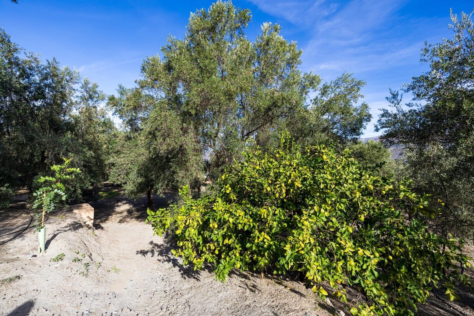 Rakentamaton maa myytävänä paikassa Lecrin - 140 000 € (Ref: 9419700)