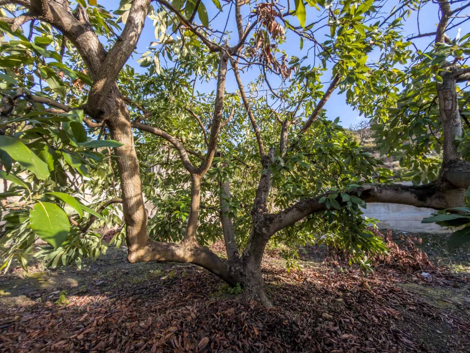 1 camera da letto Finca/Casa di Campagna in vendita in Los Guajares con garage - 89.900 € (Rif: 9419715)