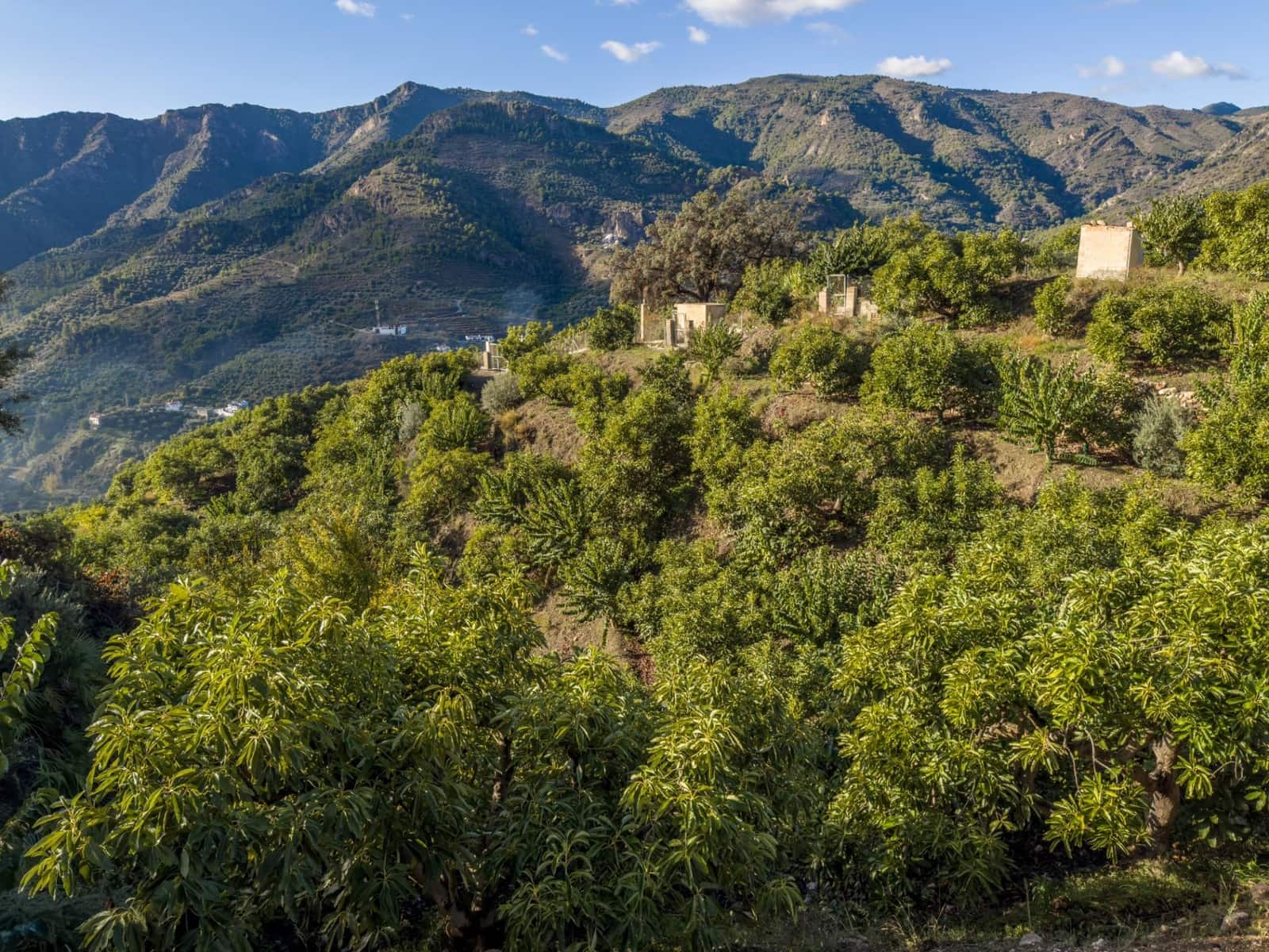 1 camera da letto Finca/Casa di Campagna in vendita in Los Guajares con garage - 89.900 € (Rif: 9419715)