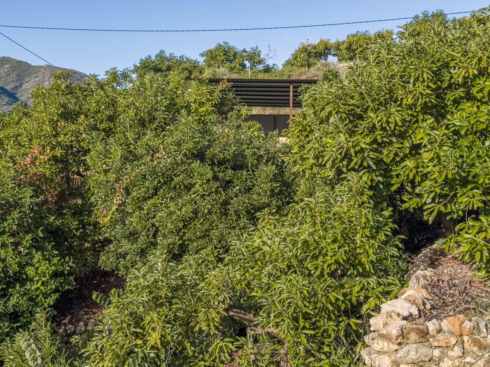 1 camera da letto Finca/Casa di Campagna in vendita in Los Guajares con garage - 89.900 € (Rif: 9419715)