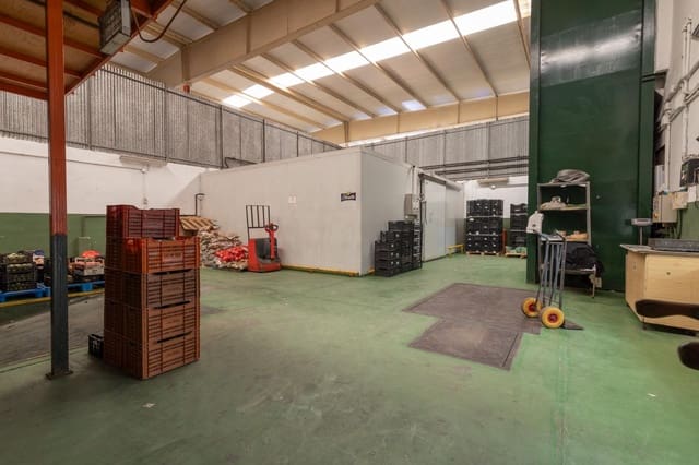 Virksomhed til salg i Almuñécar - € 580.000 (Ref: 9422398)