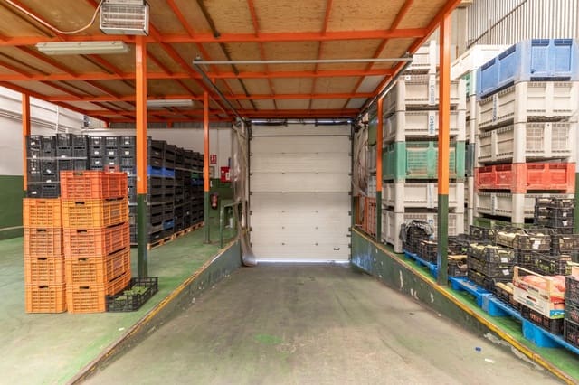 Virksomhed til salg i Almuñécar - € 580.000 (Ref: 9422398)