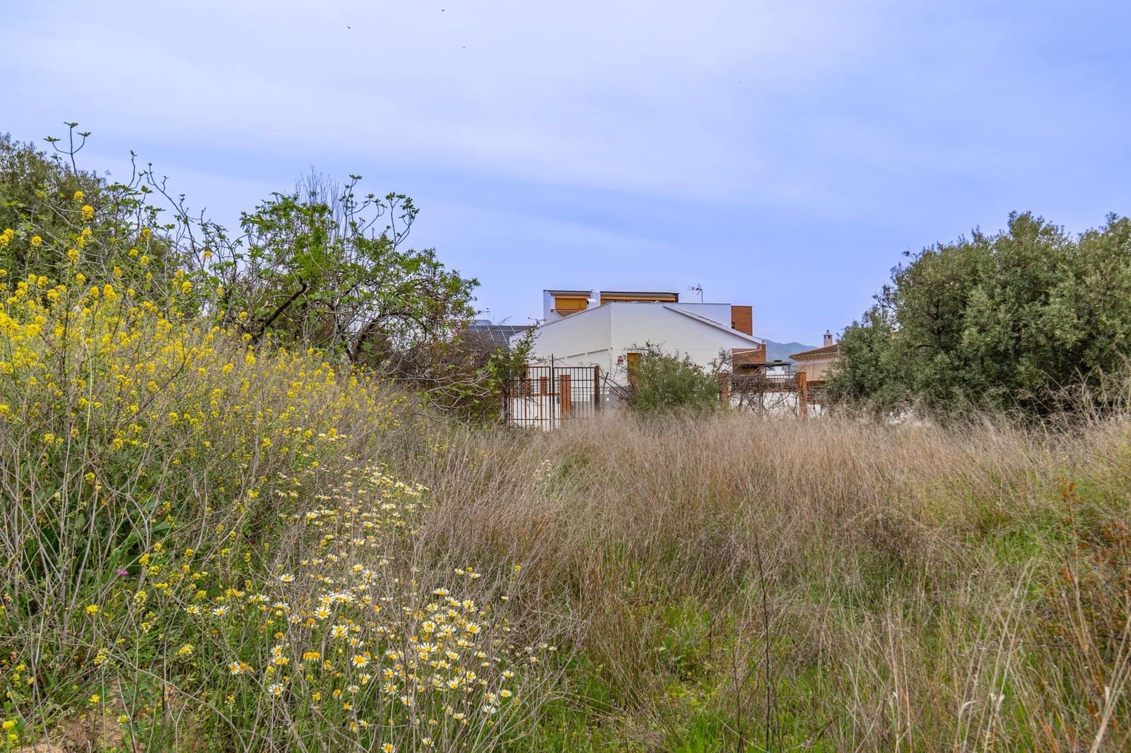 Tontti myytävänä paikassa Albolote - 78 000 € (Ref: 9434946)