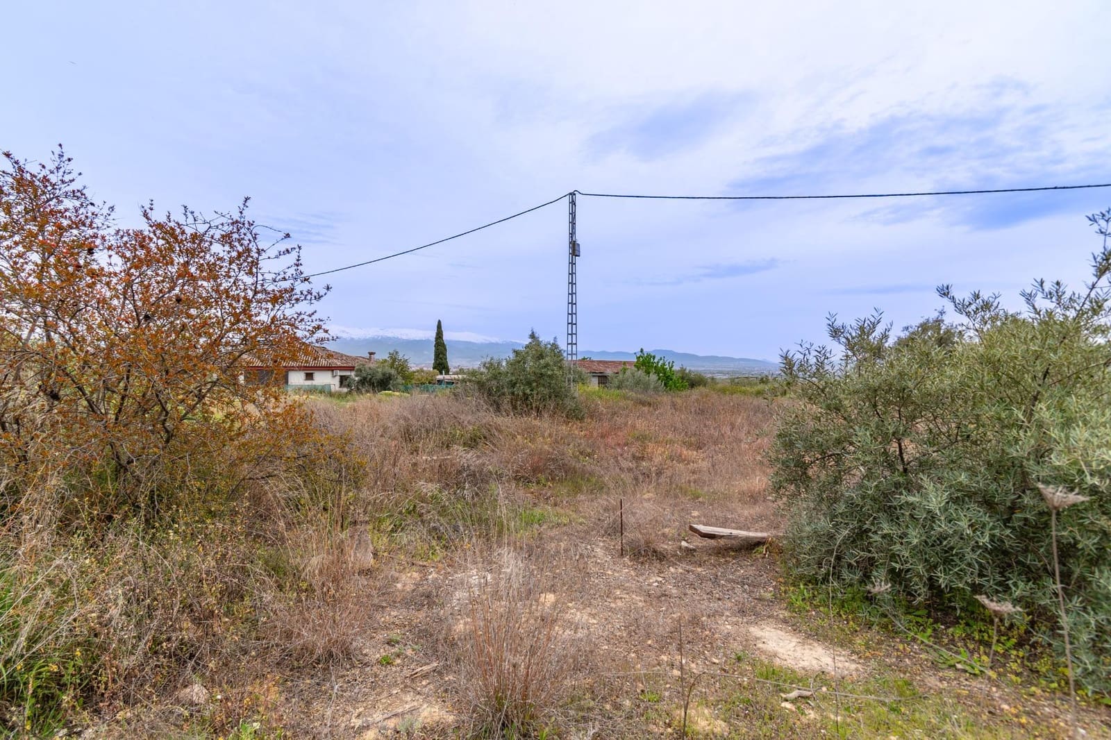 Tontti myytävänä paikassa Albolote - 78 000 € (Ref: 9434946)