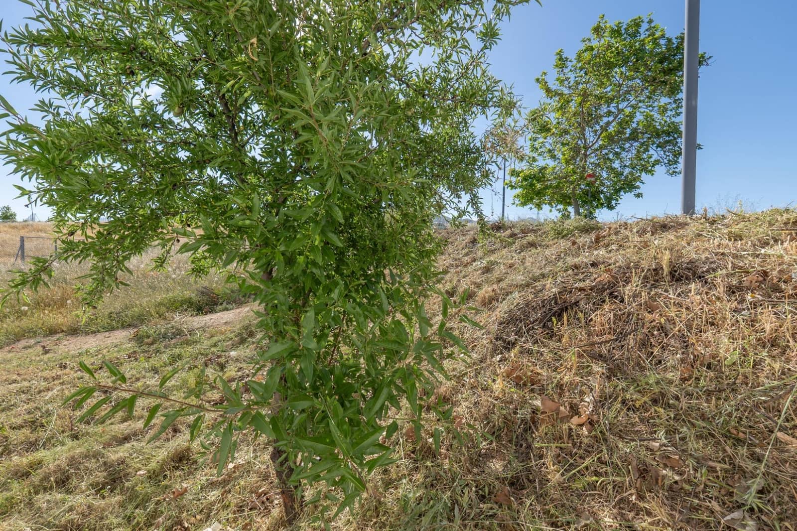 Byggegrund til salg i Gojar - € 49.000 (Ref: 9434954)