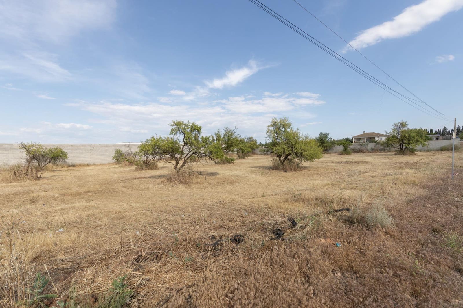 Undeveloped Land for sale in Moraleda de Zafayona - € 115,000 (Ref: 9434957)