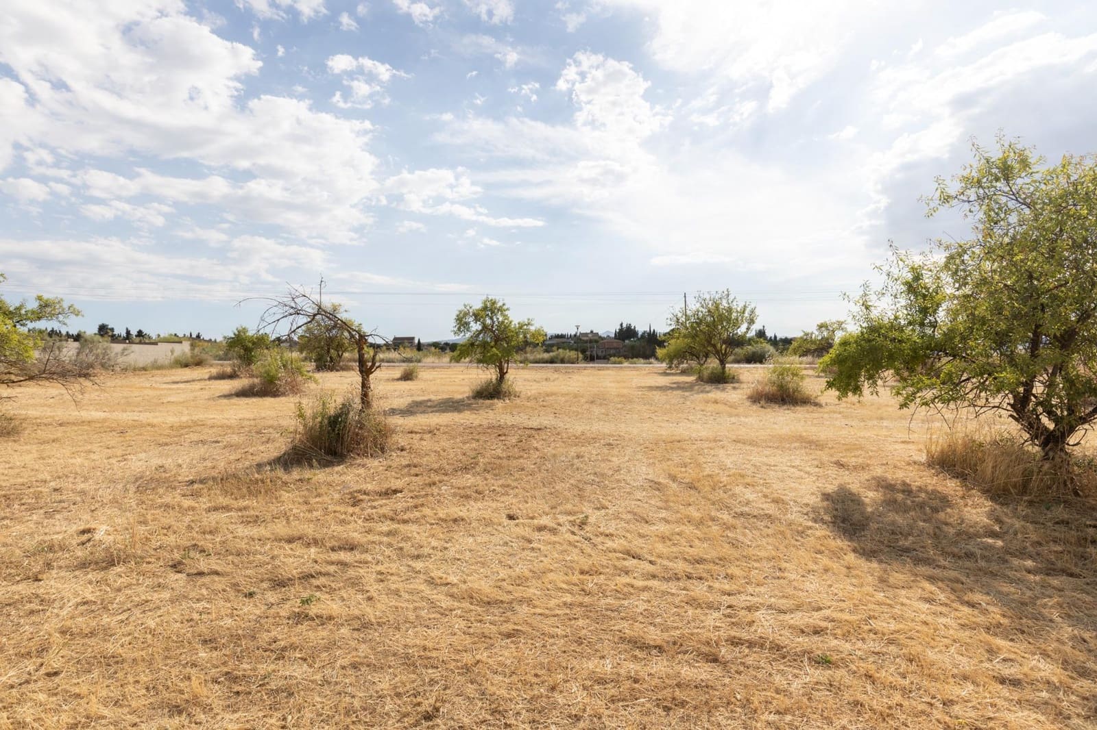 Undeveloped Land for sale in Moraleda de Zafayona - € 115,000 (Ref: 9434957)