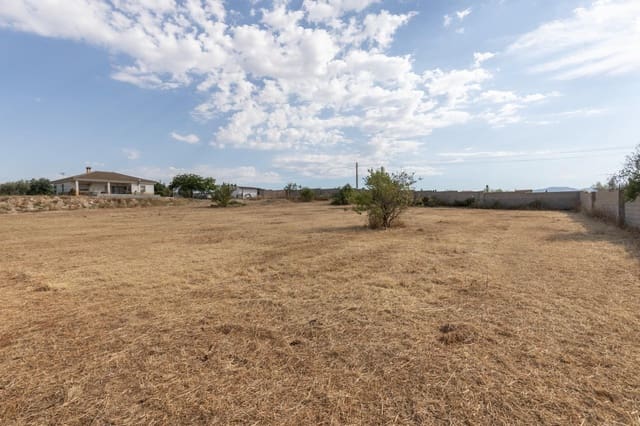 Undeveloped Land for sale in Moraleda de Zafayona - € 115,000 (Ref: 9434957)