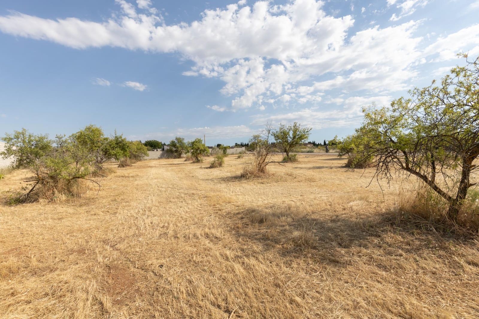 Undeveloped Land for sale in Moraleda de Zafayona - € 115,000 (Ref: 9434957)