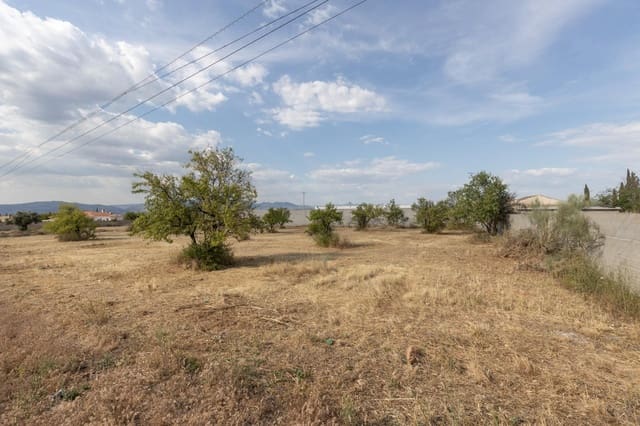 Undeveloped Land for sale in Moraleda de Zafayona - € 115,000 (Ref: 9434957)