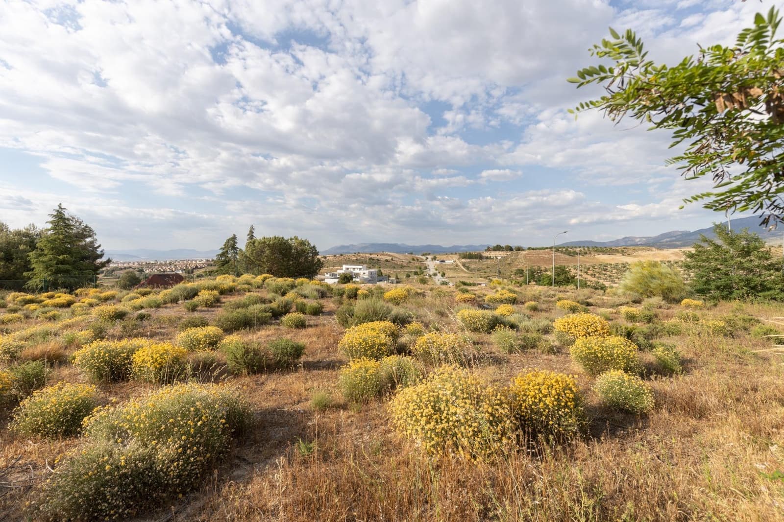 Building Plot for sale in Otura - € 49,900 (Ref: 9434958)