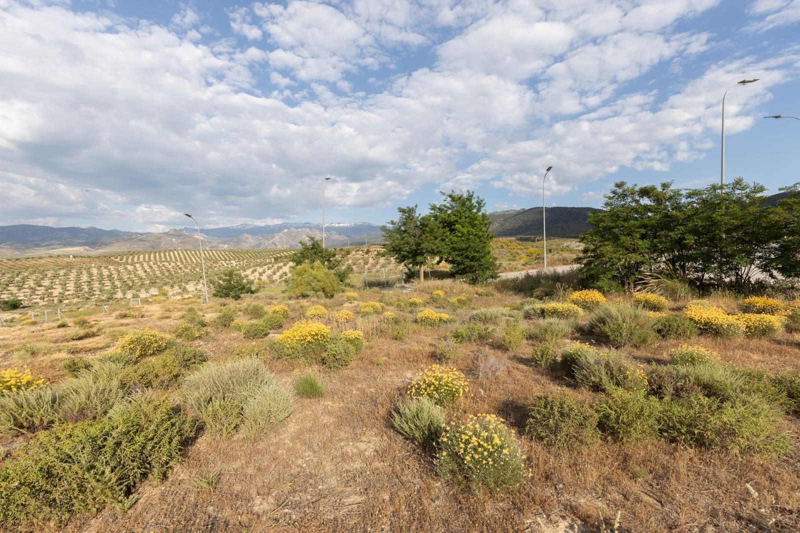 Building Plot for sale in Otura - € 49,900 (Ref: 9434958)