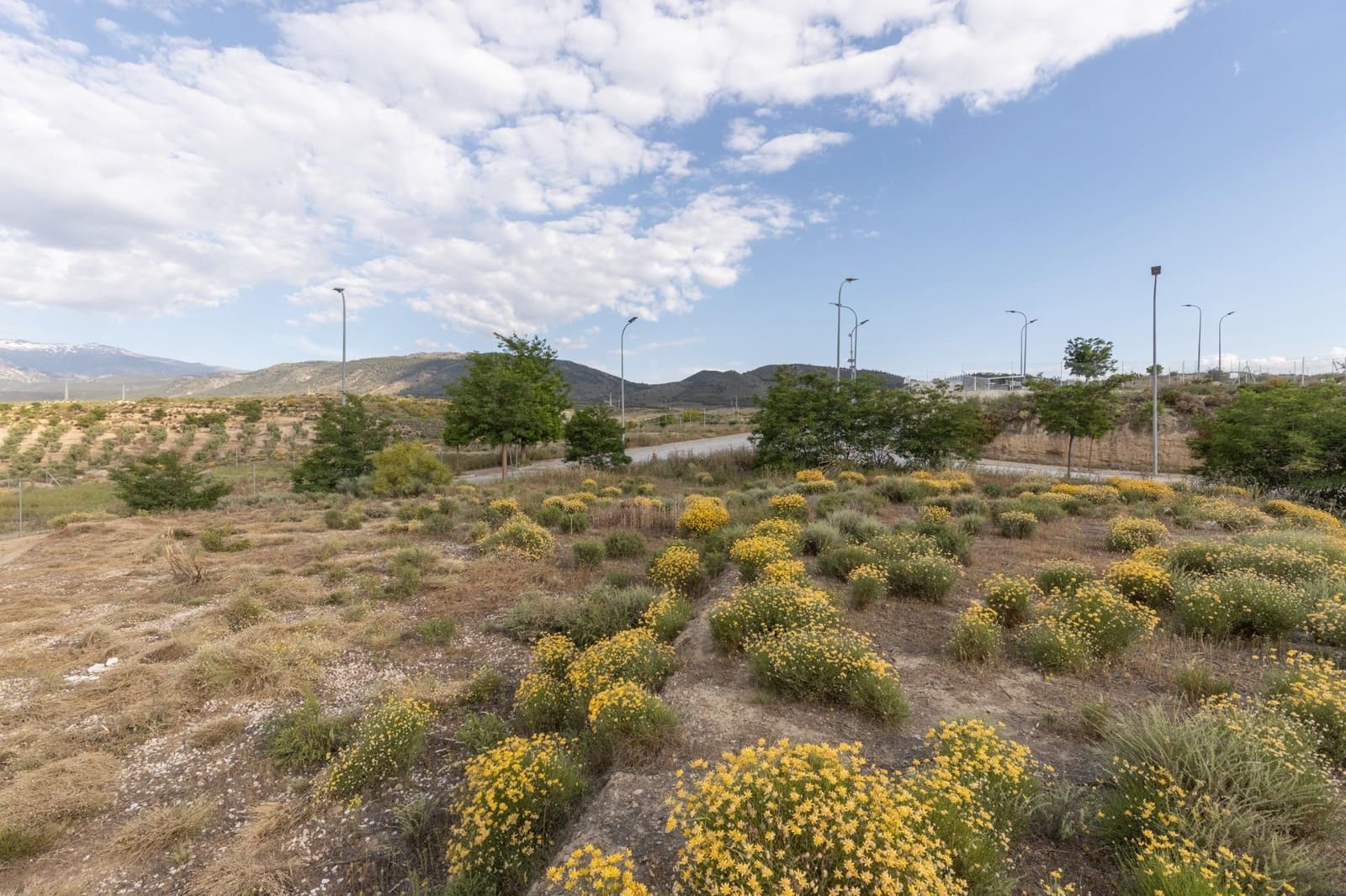 Building Plot for sale in Otura - € 49,900 (Ref: 9434958)