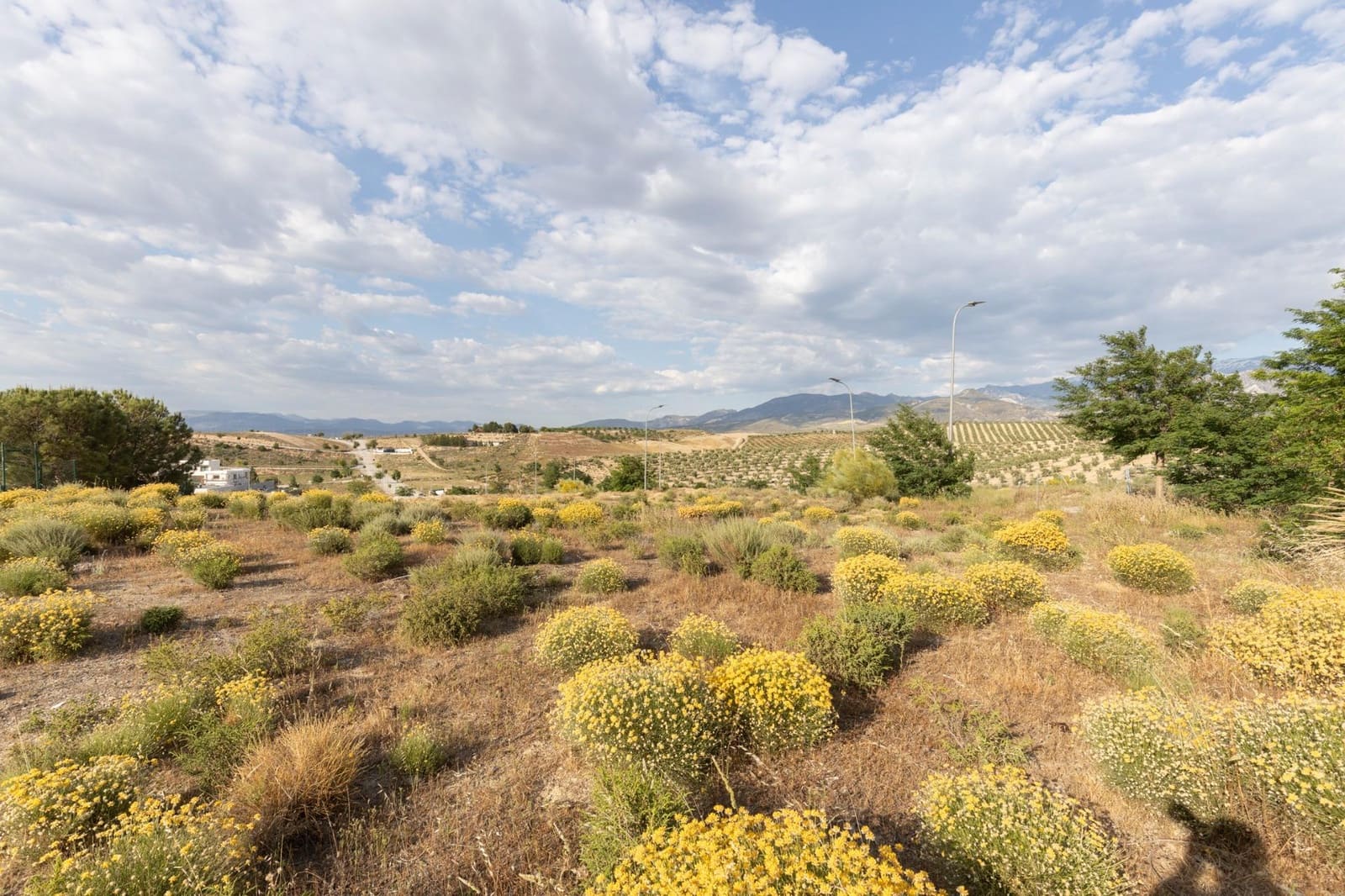 Building Plot for sale in Otura - € 49,900 (Ref: 9434958)
