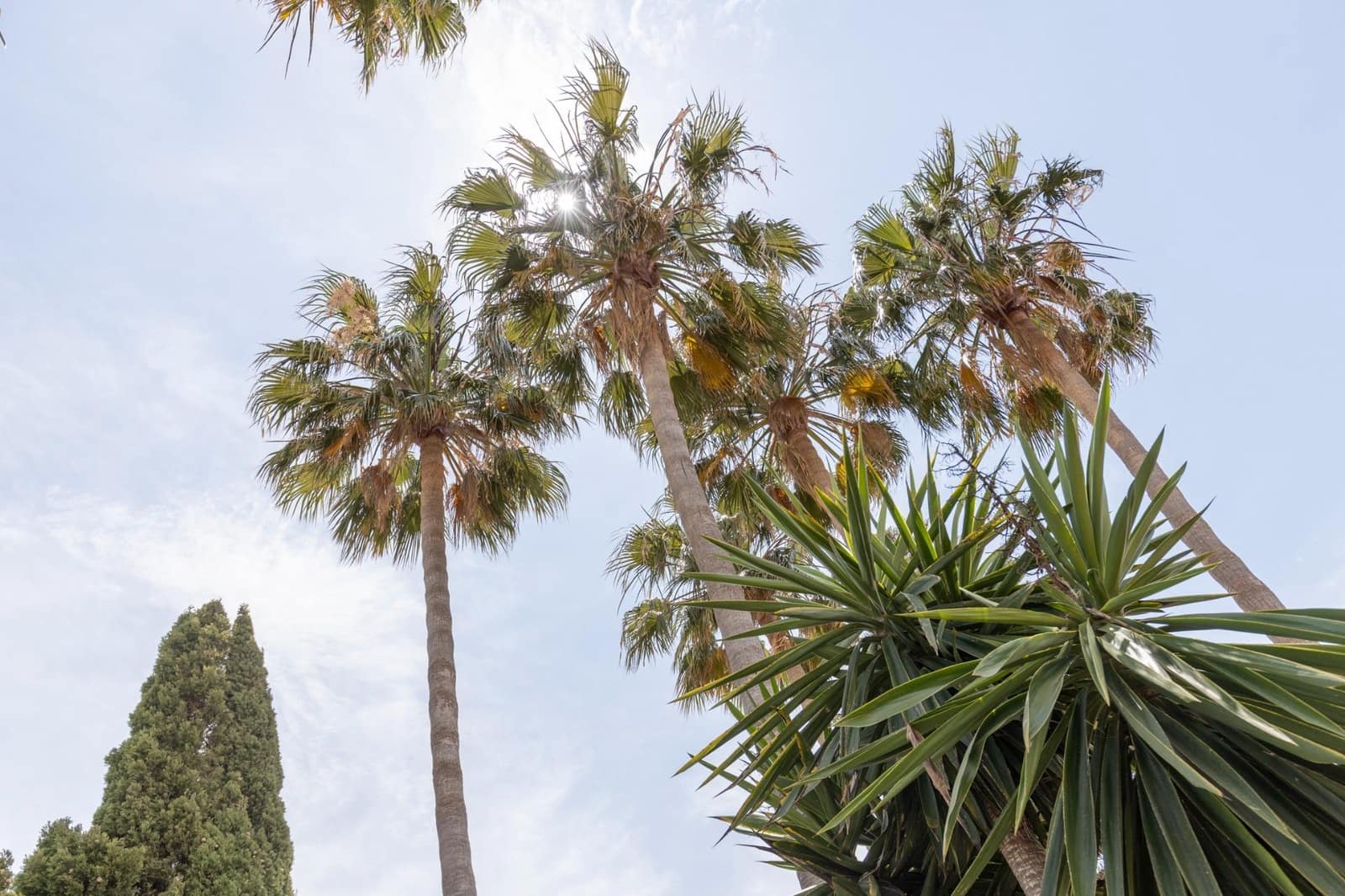 4 sypialnia Willa na sprzedaż w Motril z basenem garażem - 630 000 € (Ref: 9434960)