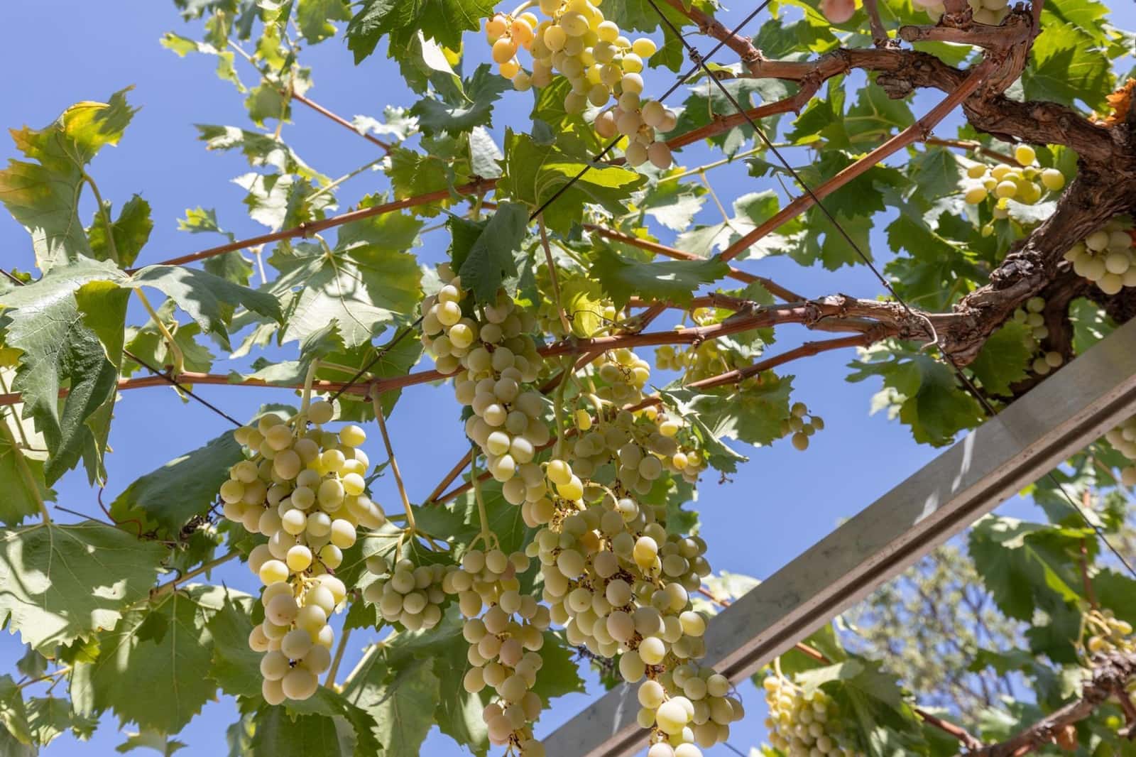 5 soveværelse Villa til salg i Gojar med swimmingpool garage - € 467.000 (Ref: 9434973)