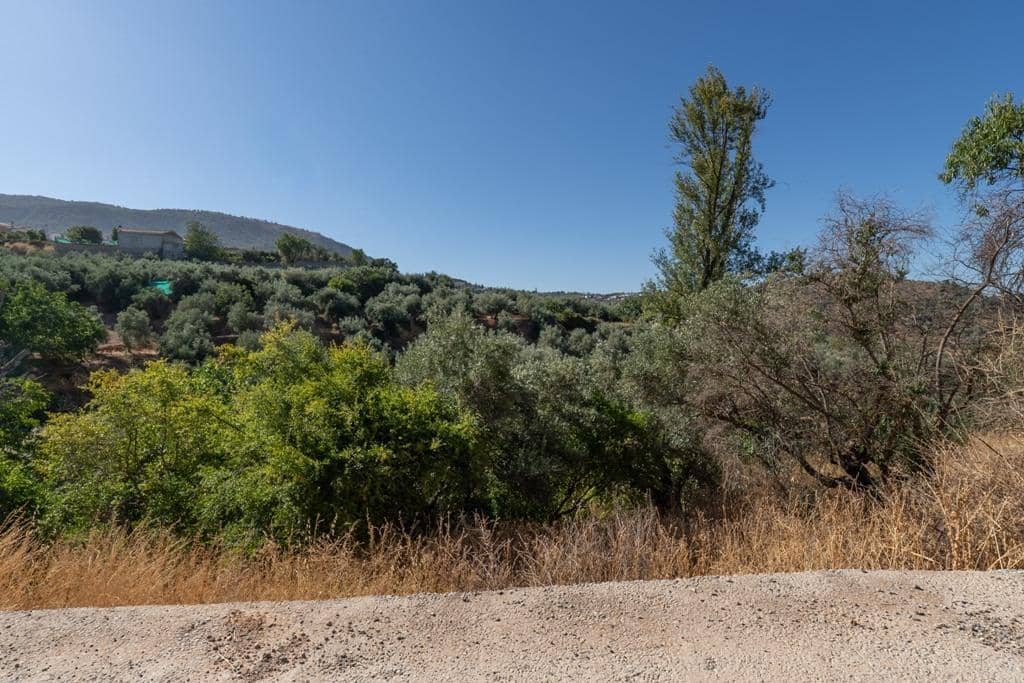 8 slaapkamer Finca/Landhuis te koop in Cogollos Vega - € 70.000 (Ref: 9434975)