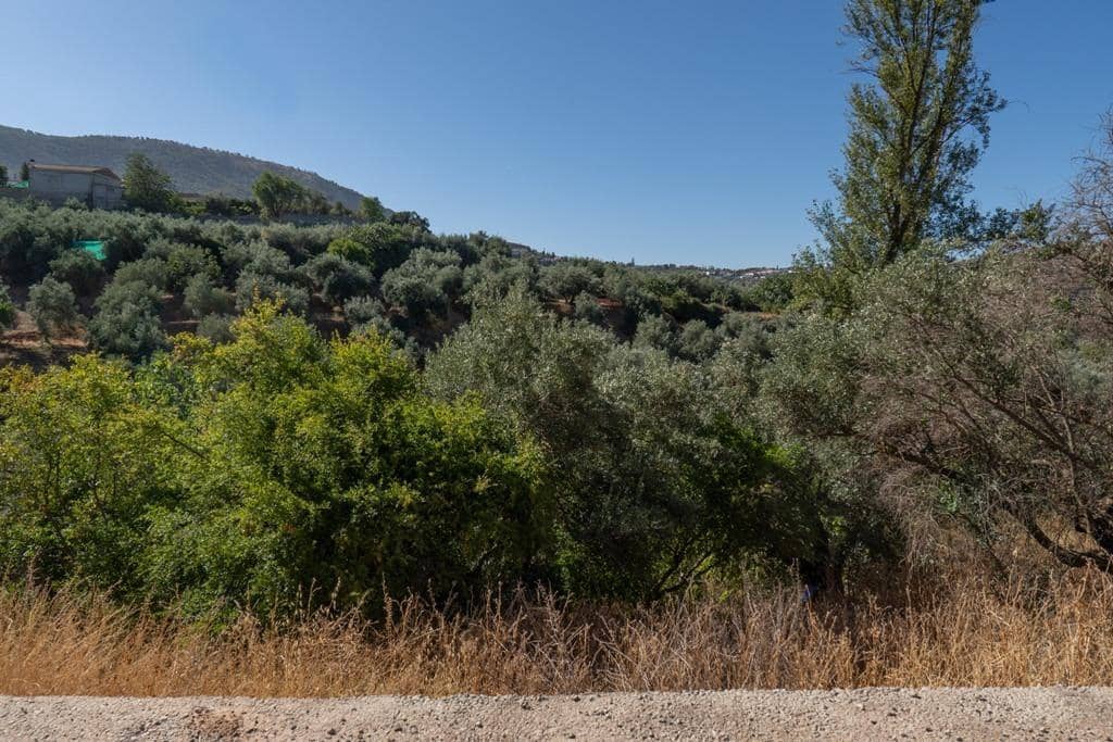 8 slaapkamer Finca/Landhuis te koop in Cogollos Vega - € 70.000 (Ref: 9434975)