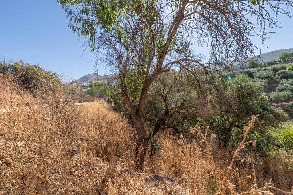 8 slaapkamer Finca/Landhuis te koop in Cogollos Vega - € 70.000 (Ref: 9434975)