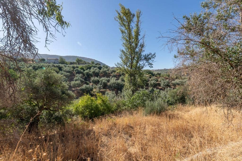 8 slaapkamer Finca/Landhuis te koop in Cogollos Vega - € 70.000 (Ref: 9434975)