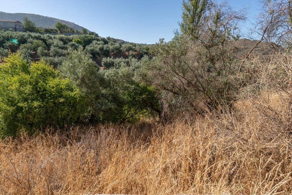 8 slaapkamer Finca/Landhuis te koop in Cogollos Vega - € 70.000 (Ref: 9434975)