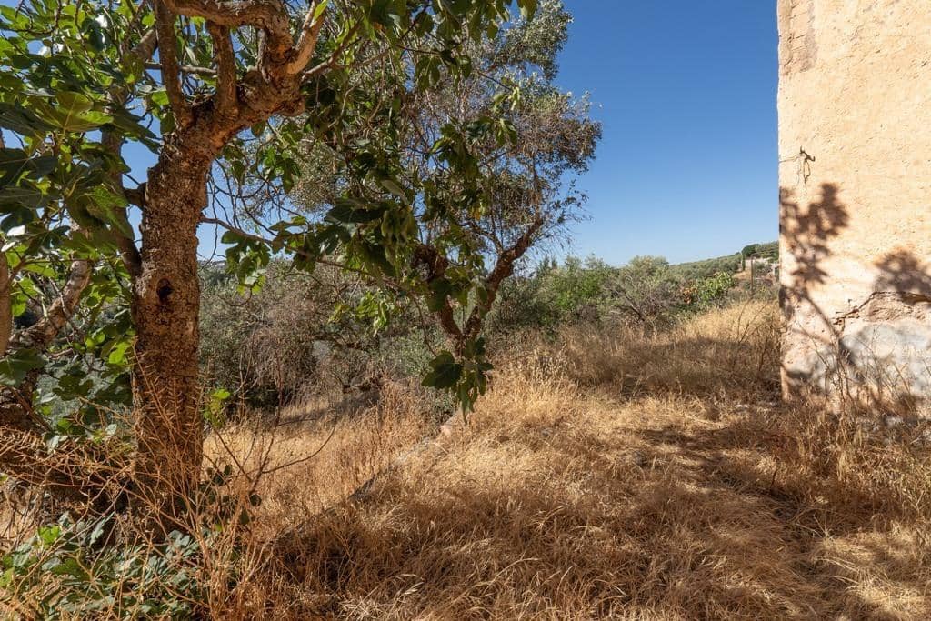 8 slaapkamer Finca/Landhuis te koop in Cogollos Vega - € 70.000 (Ref: 9434975)