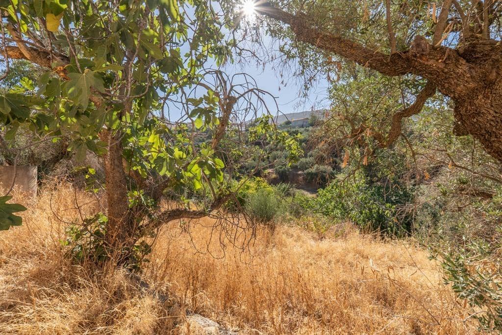 8 slaapkamer Finca/Landhuis te koop in Cogollos Vega - € 70.000 (Ref: 9434975)