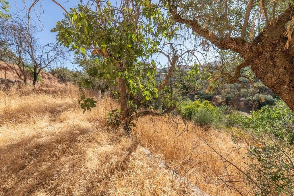 8 slaapkamer Finca/Landhuis te koop in Cogollos Vega - € 70.000 (Ref: 9434975)