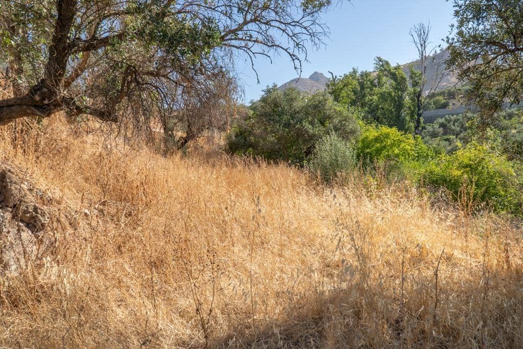 8 slaapkamer Finca/Landhuis te koop in Cogollos Vega - € 70.000 (Ref: 9434975)