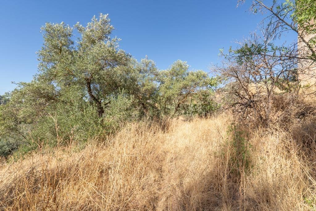 8 slaapkamer Finca/Landhuis te koop in Cogollos Vega - € 70.000 (Ref: 9434975)