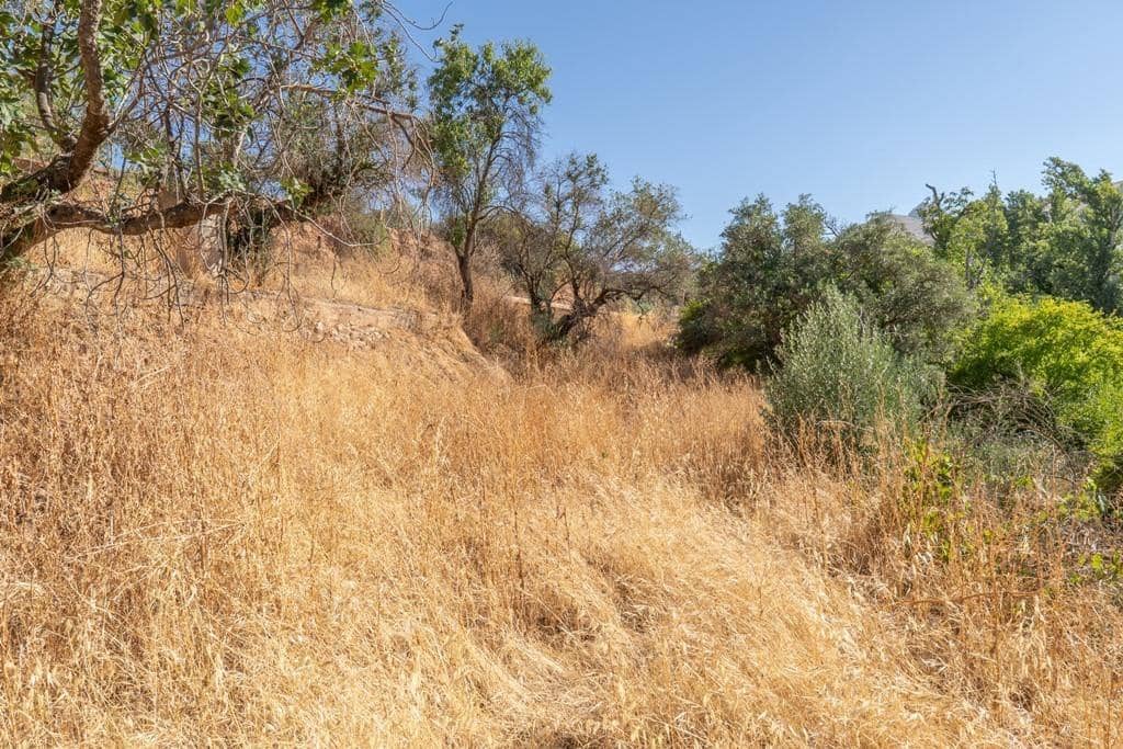 8 slaapkamer Finca/Landhuis te koop in Cogollos Vega - € 70.000 (Ref: 9434975)