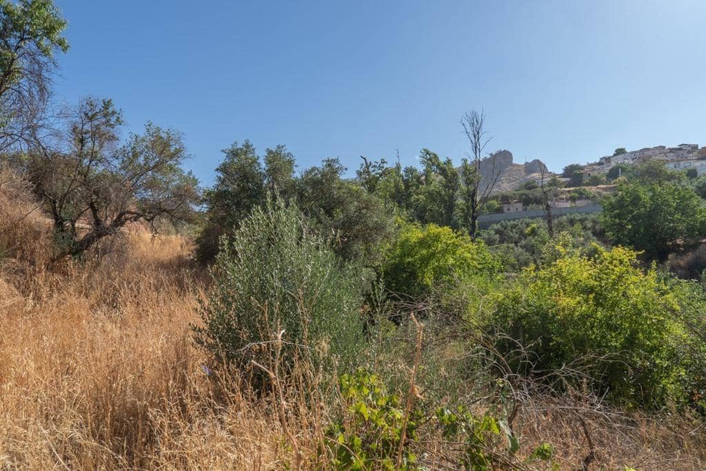 8 slaapkamer Finca/Landhuis te koop in Cogollos Vega - € 70.000 (Ref: 9434975)