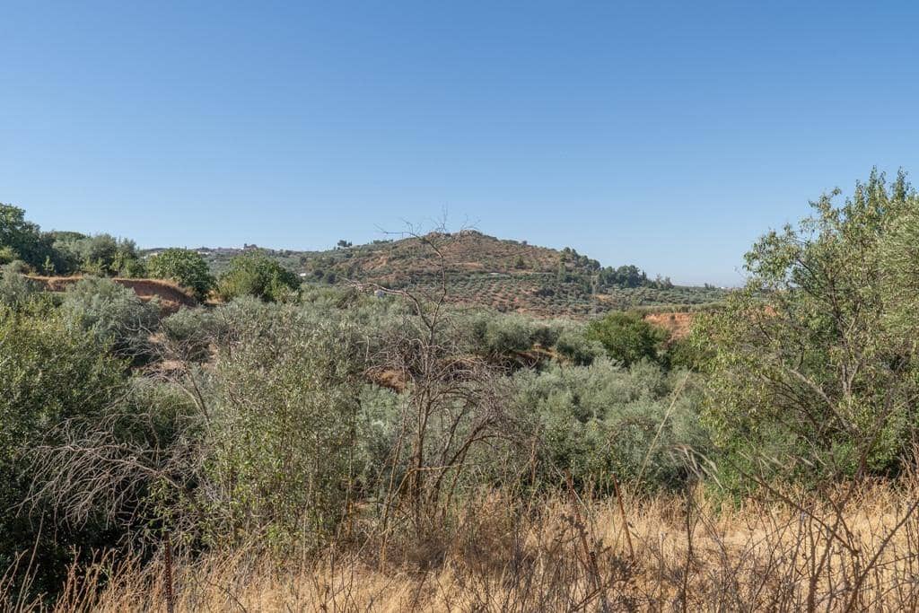 8 slaapkamer Finca/Landhuis te koop in Cogollos Vega - € 70.000 (Ref: 9434975)