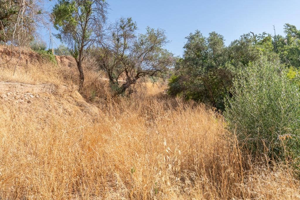 8 slaapkamer Finca/Landhuis te koop in Cogollos Vega - € 70.000 (Ref: 9434975)