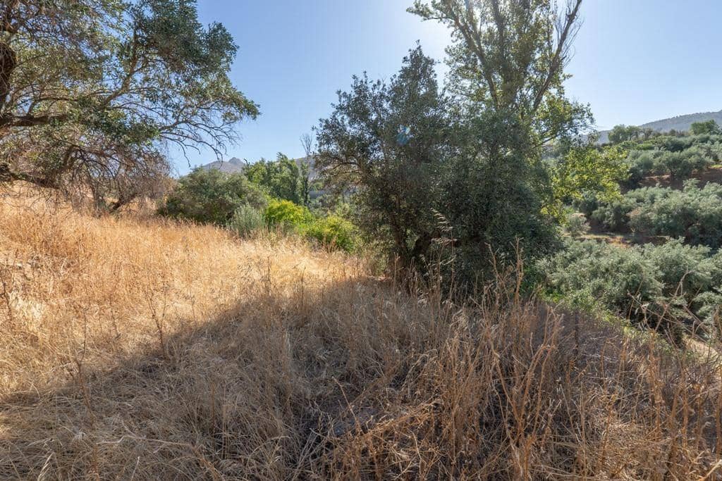 8 slaapkamer Finca/Landhuis te koop in Cogollos Vega - € 70.000 (Ref: 9434975)