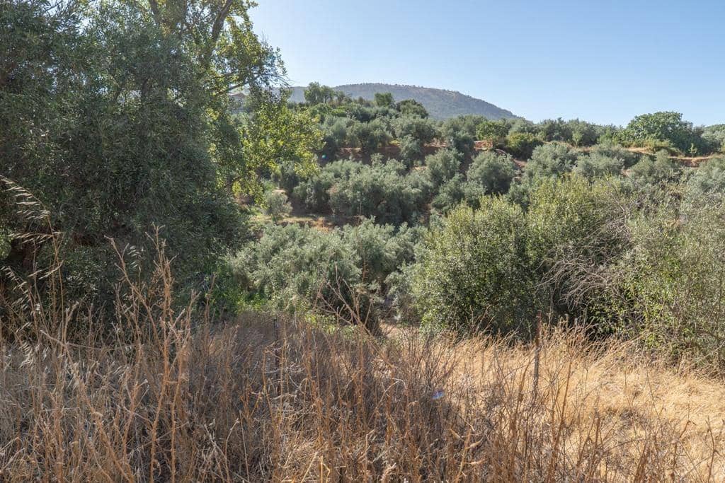 8 slaapkamer Finca/Landhuis te koop in Cogollos Vega - € 70.000 (Ref: 9434975)