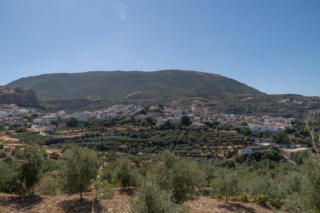 8 slaapkamer Finca/Landhuis te koop in Cogollos Vega - € 70.000 (Ref: 9434975)