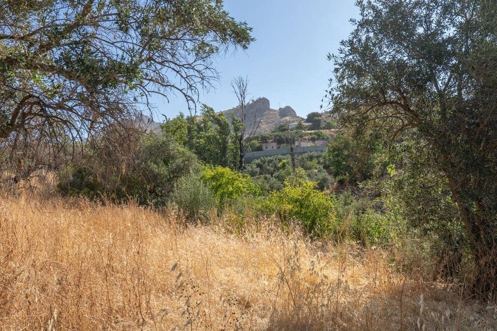 8 slaapkamer Finca/Landhuis te koop in Cogollos Vega - € 70.000 (Ref: 9434975)