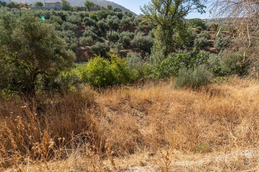 8 slaapkamer Finca/Landhuis te koop in Cogollos Vega - € 70.000 (Ref: 9434975)