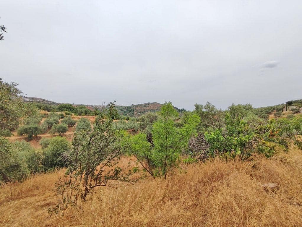 8 slaapkamer Finca/Landhuis te koop in Cogollos Vega - € 70.000 (Ref: 9434975)