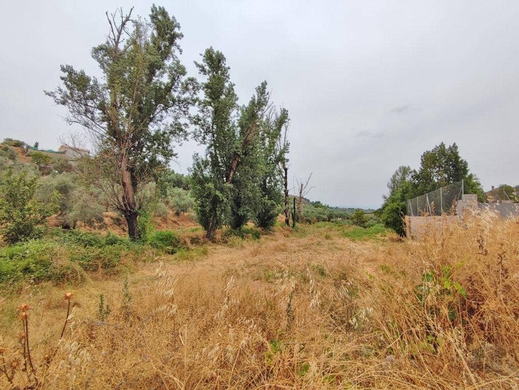 8 slaapkamer Finca/Landhuis te koop in Cogollos Vega - € 70.000 (Ref: 9434975)