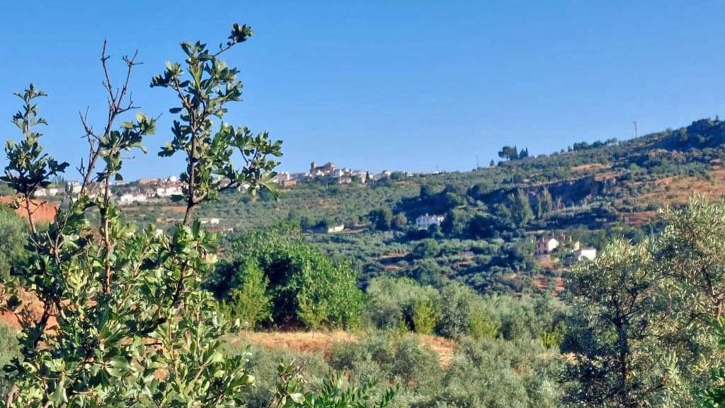 8 slaapkamer Finca/Landhuis te koop in Cogollos Vega - € 70.000 (Ref: 9434975)