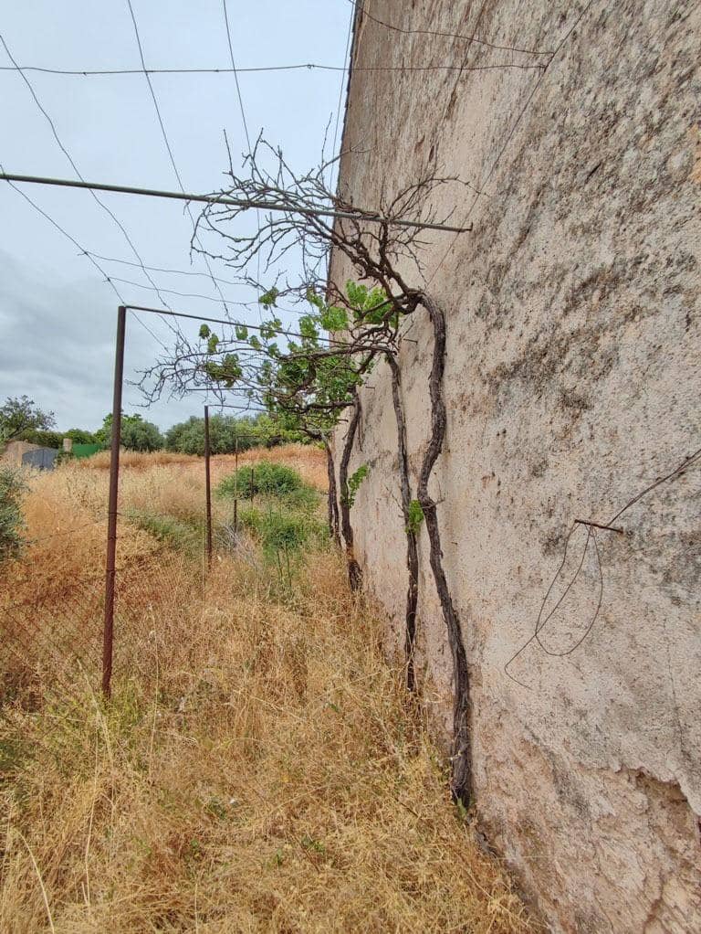 8 slaapkamer Finca/Landhuis te koop in Cogollos Vega - € 70.000 (Ref: 9434975)