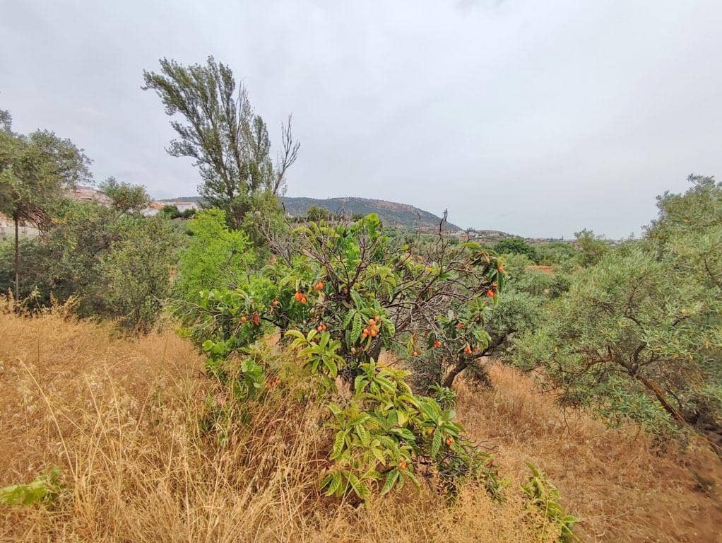 8 slaapkamer Finca/Landhuis te koop in Cogollos Vega - € 70.000 (Ref: 9434975)