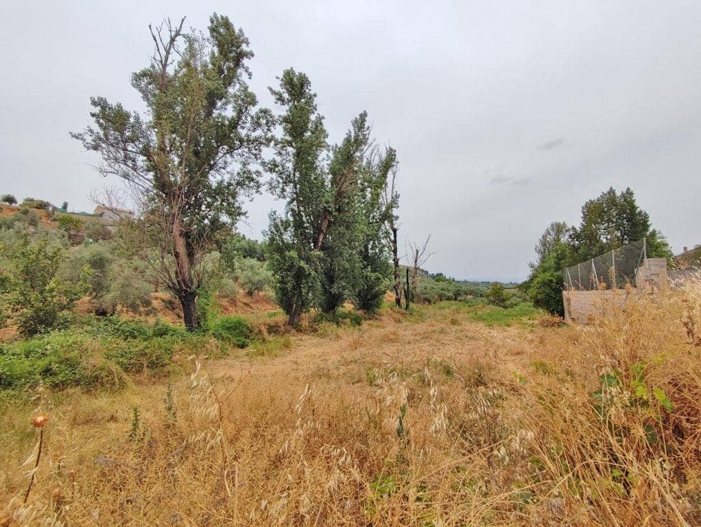 8 slaapkamer Finca/Landhuis te koop in Cogollos Vega - € 70.000 (Ref: 9434975)